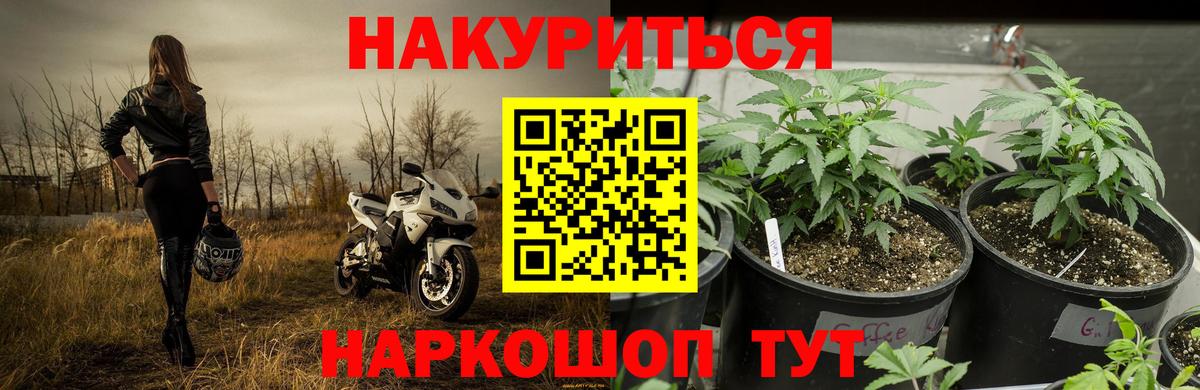 Канабис Bruce Banner  Вход с VPN  Бошки марихуана OG Kush  Холмск 